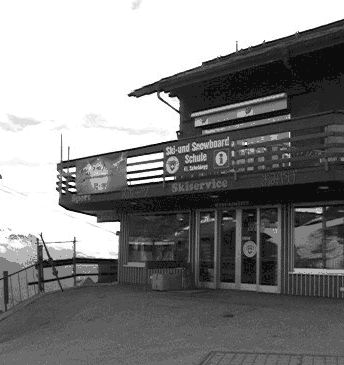 �X�C�X�̃i���g�J�w�̃~���Q���m��