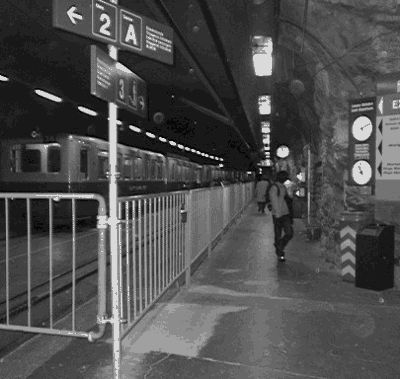 �����O�t���E���b�z�w