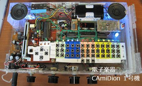 CAmiDion �P���@