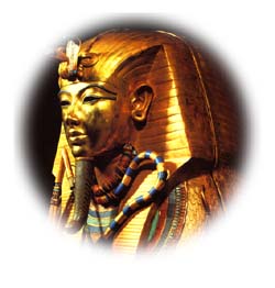 �c�^���J�[����