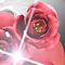 2011年作品サムネイル24、希望の花(Denki Nippon)