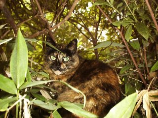 �����`�H