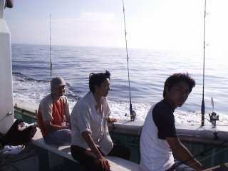 �C�C�n������ƍ��Z���R���r