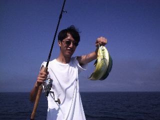 narikawa����