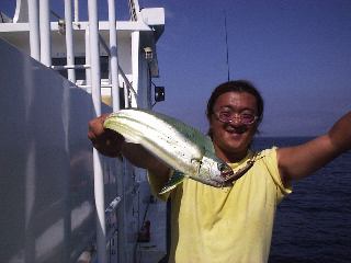 �Y�c����