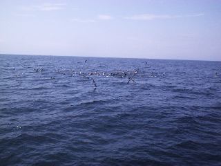 �g�����}����`