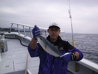 �C�i�_�f�d�s�̎t������