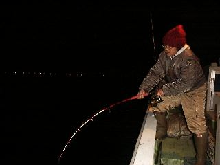 �Y�c����