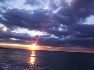 �V���I�����̏o�f�W�J���ɂĎB�e