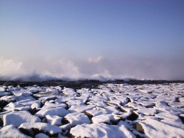 �����C�ݐ�i�F�Q