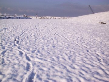 �����C�ݐ�i�F�R