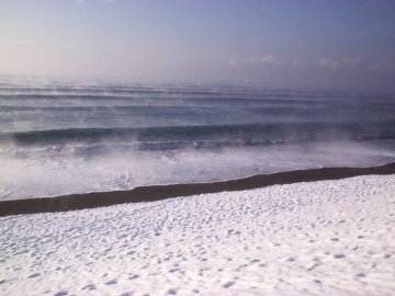 �����C�ݐ�i�F�U