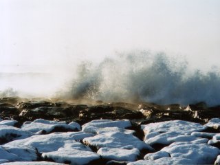 ���{�C��