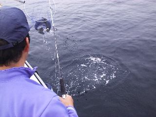 �V�[�o�X�����f�B���O