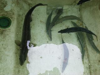 ���C�u�E�F��