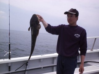 ����}�S�`