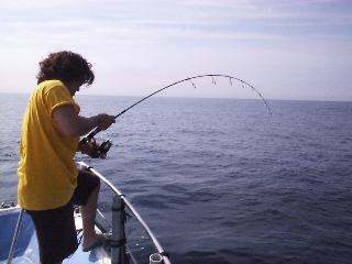 �Y�c���񃁁[�^�[�I�[�o�[�Ɗi��