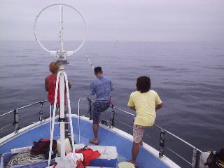 �i�u���ł�