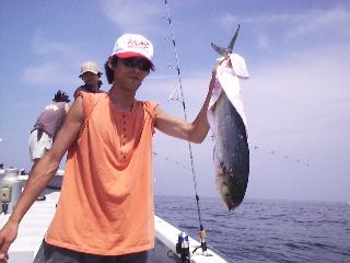 �V�C���f�d�s�I