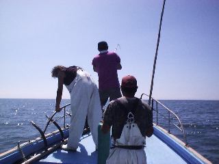 �T���g������