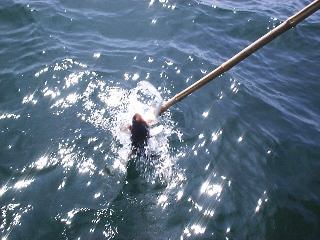 �M���t����