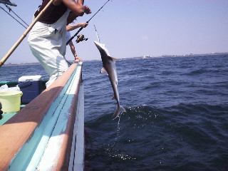 �T���f�d�s�Q