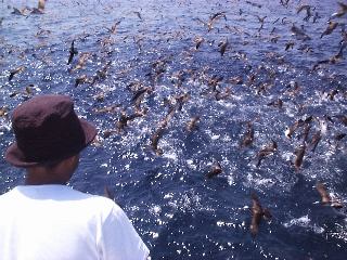 �����g�����}