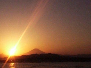 �x�m�R�Ɨ[�z