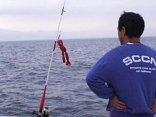 ��̃A�J���l�`