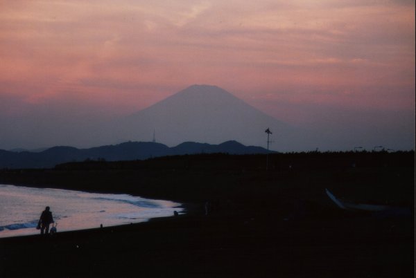 �����萼�l�C�݂���̕x�m�R