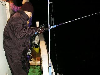 �T�b�g�E�_��E�n������