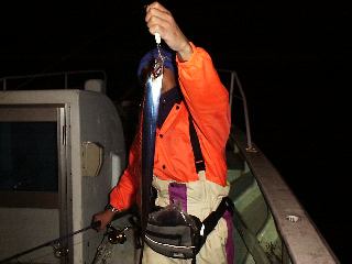 �^�`����