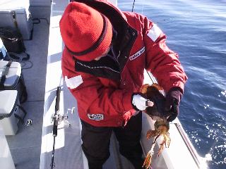 kumip����GET�̃A�I��