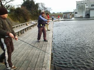 �`�c��t���C�G���A