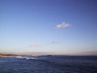 �T�[�t�@�[�ƍ]�m��