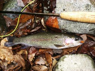 �I�����W�}���u�[�ɂ�