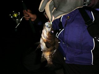 �`����������f�d�s