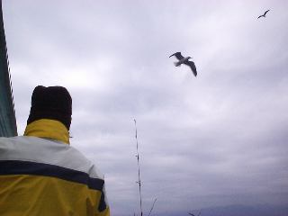 ���ɉa�t��