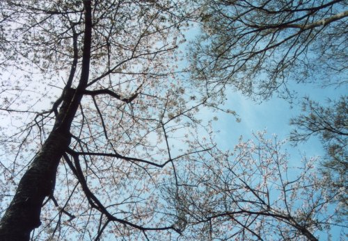 ���Ԍ���