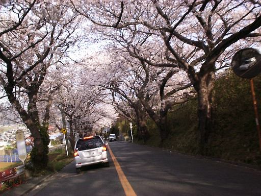 ���g���l��