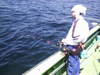 �J�Y�����