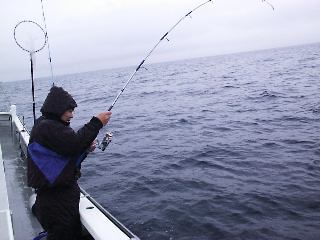 ZUMO����t�@�C�g��