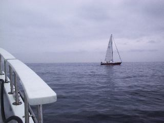 ���c����