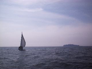 ���q������]�m�����݂�