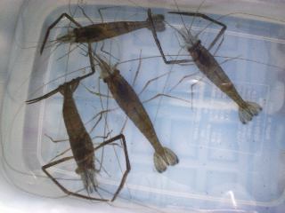 �e�i�K�G�r