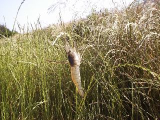 �e�i�K�G�r