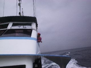 �N���[�W���O