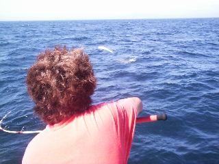 �V�C���q�b�g���W�����v