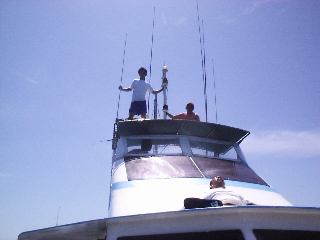 �g�����}��T���I