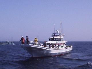 �����Y��